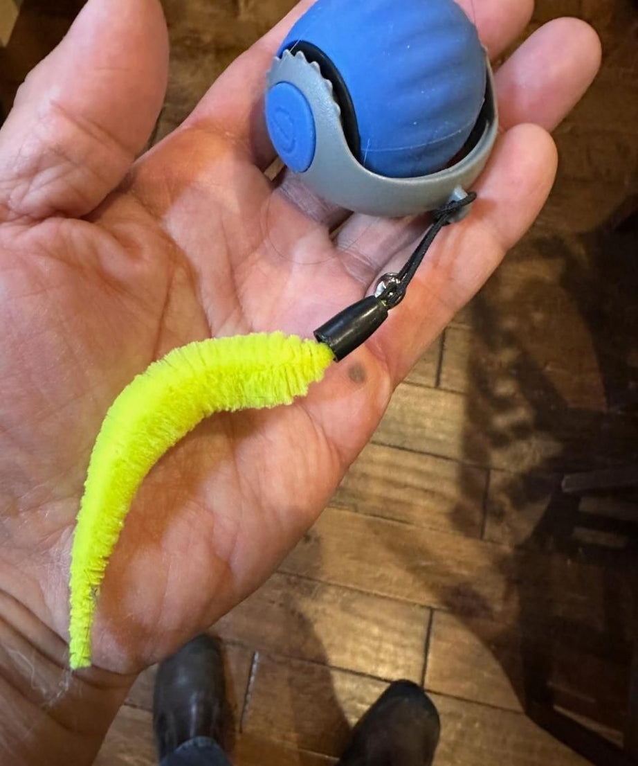 Rolling Ball Cat Toy