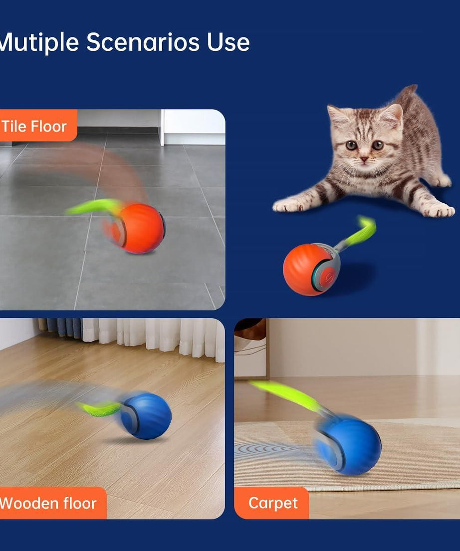 Rolling Ball Cat Toy