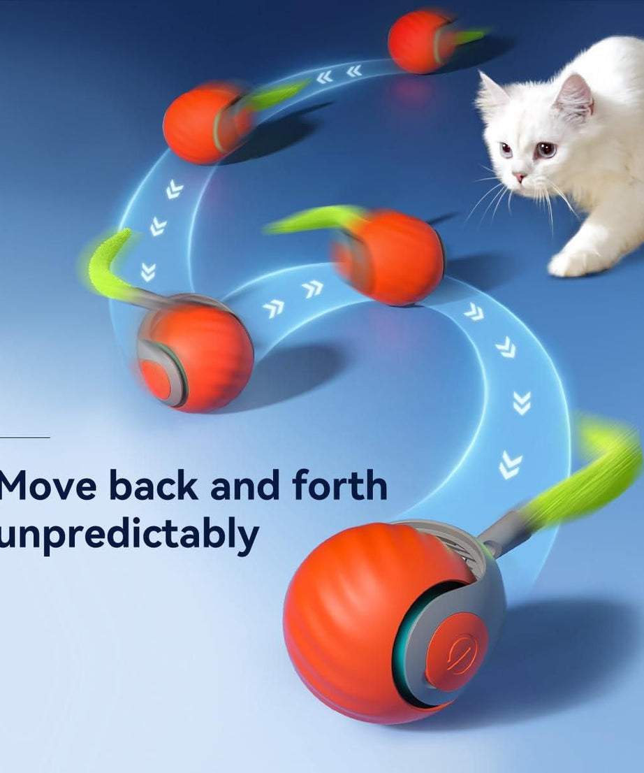 Rolling Ball Cat Toy