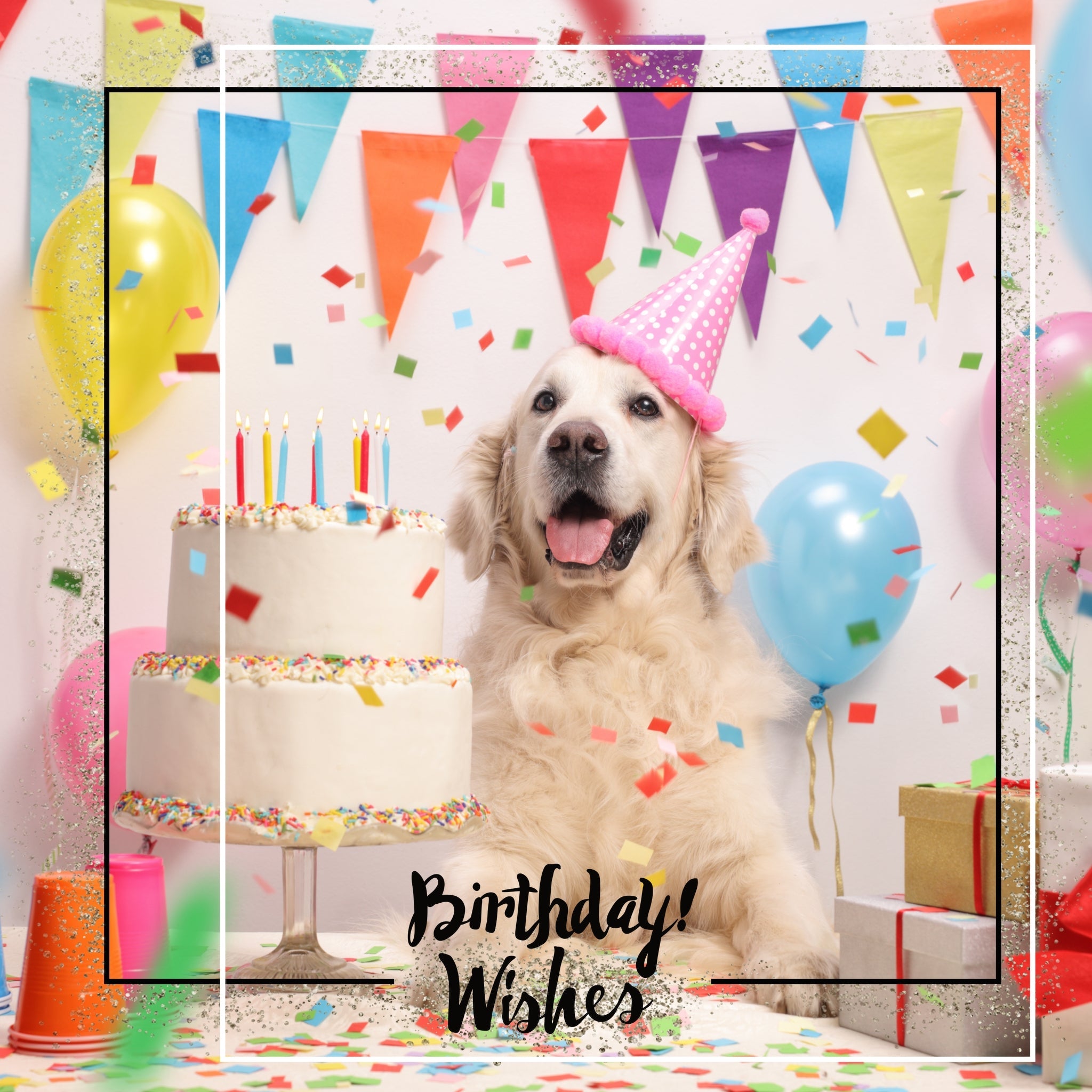 Customized Premium Birthday Wishes - Photo Frame Photography