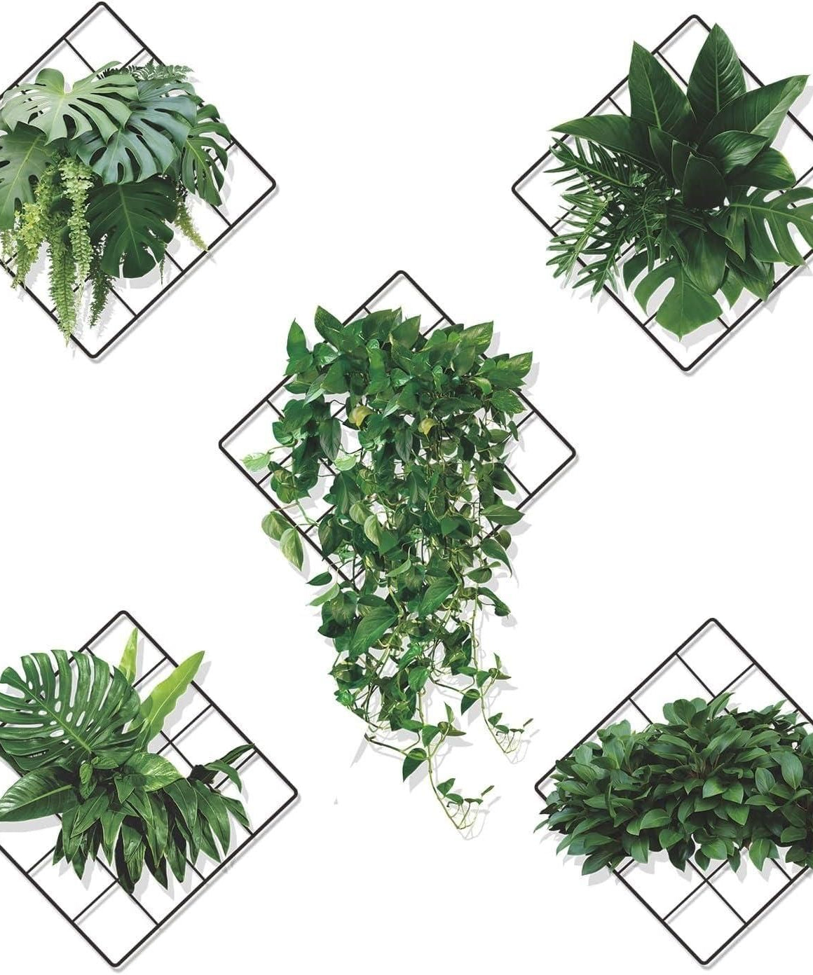 Leaves Design Vinyl  Wall Sticker (Set of 5)